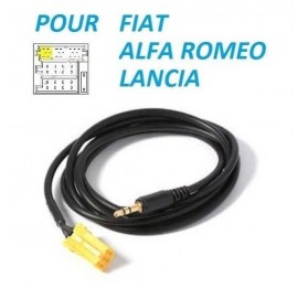 CABLE AUX POUR AUTORADIO AVEC PRISE 6 PIN