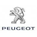 BOUTON LEVE VITRE PEUGEOT