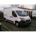 DUCATO